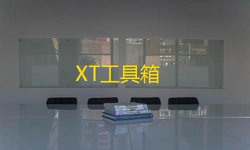 暗区(风暴直装)XT工具箱